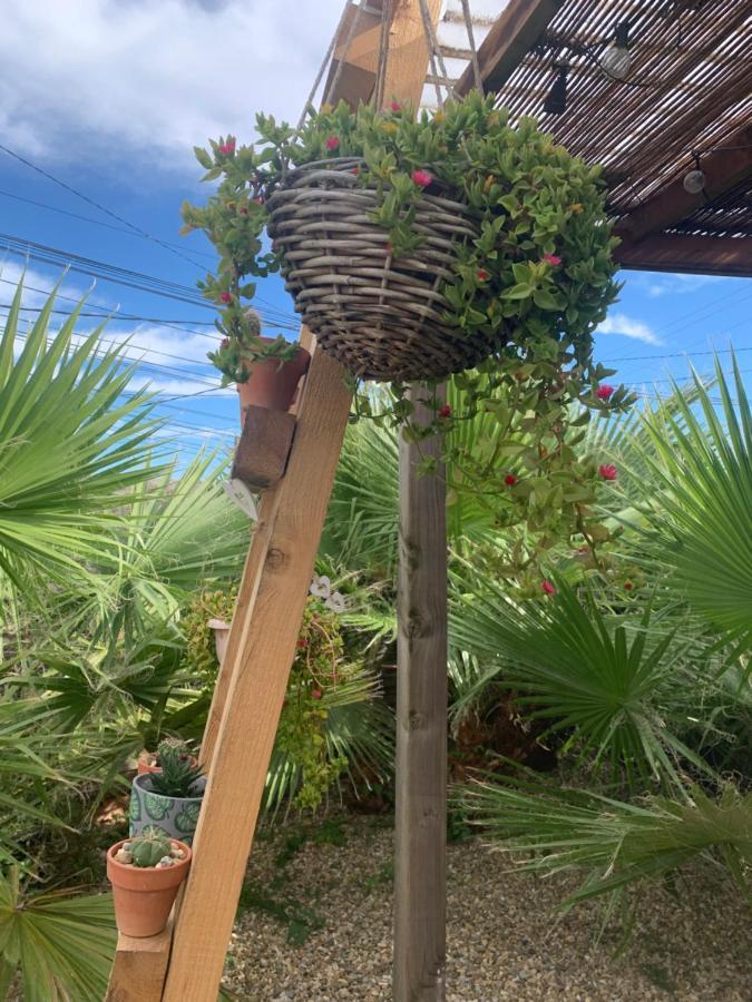 巴塞罗那Nice Little House公寓 外观 照片