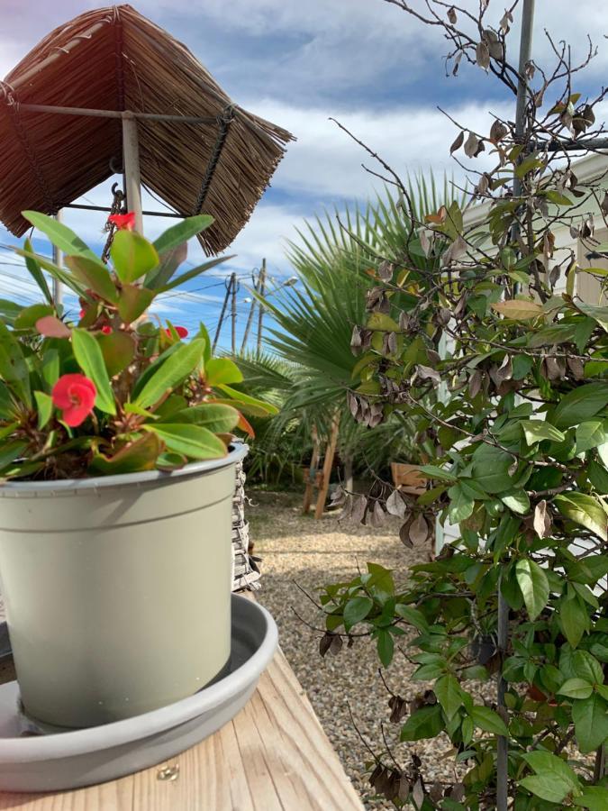 巴塞罗那Nice Little House公寓 外观 照片