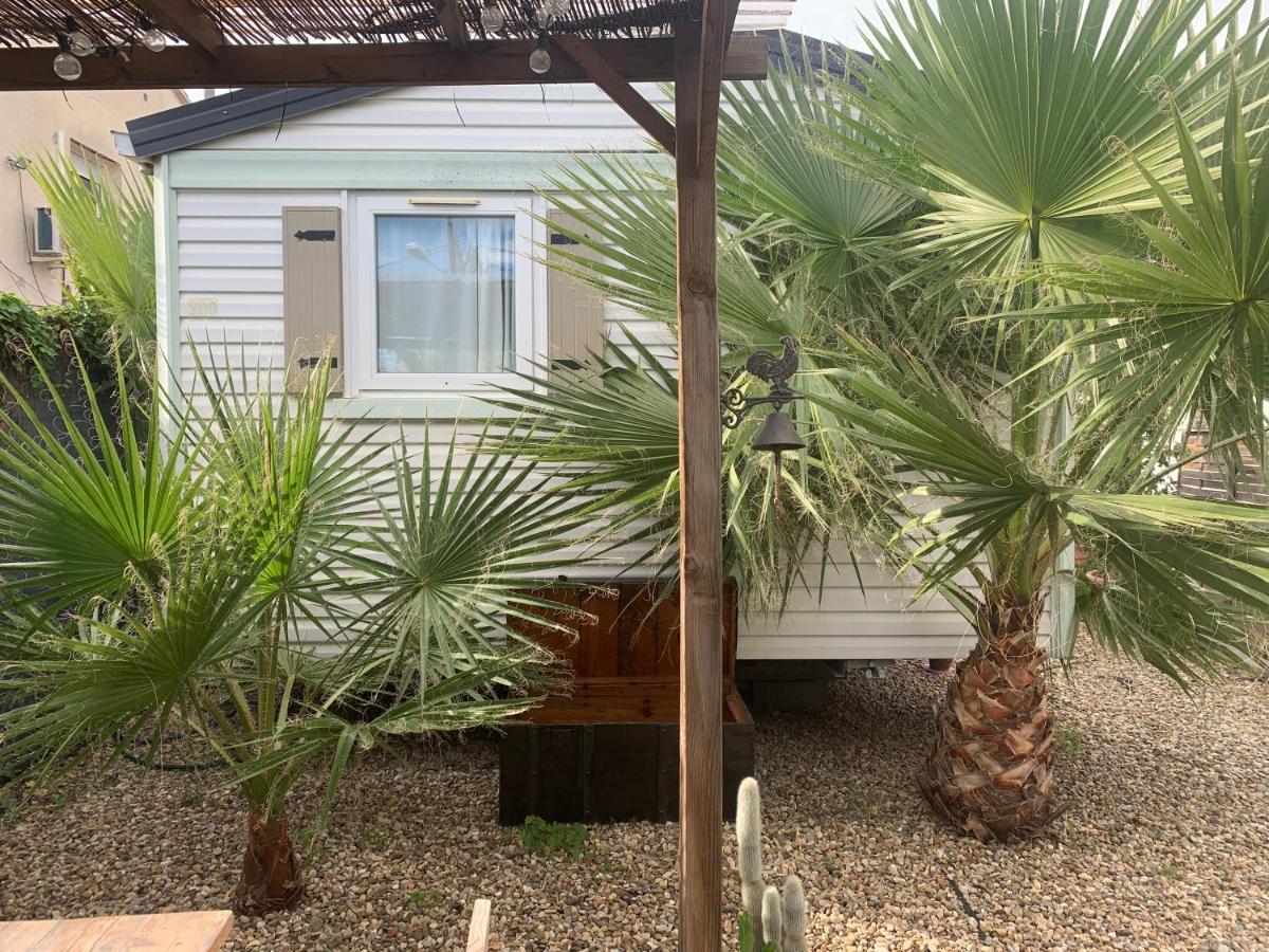 巴塞罗那Nice Little House公寓 外观 照片